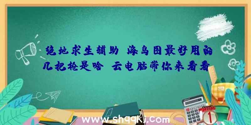 《绝地求生辅助》海岛图最好用的几把枪是啥？云电脑带你来看看！